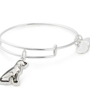 Alex and ani bracelet